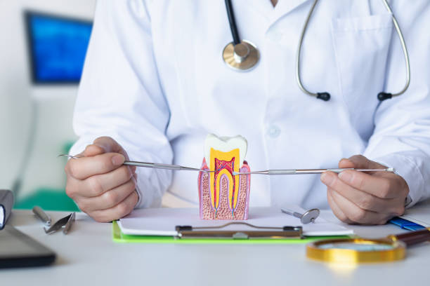 Best Emergency Broken Tooth Repair in Orangevale, CA